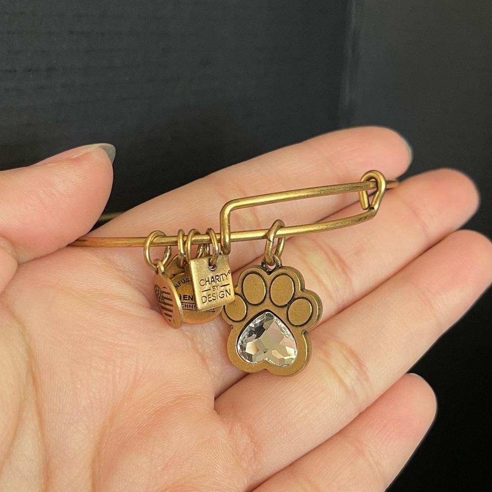 Gold tone pet adjustable bracelet bangle